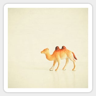 Cunning Camel Sticker